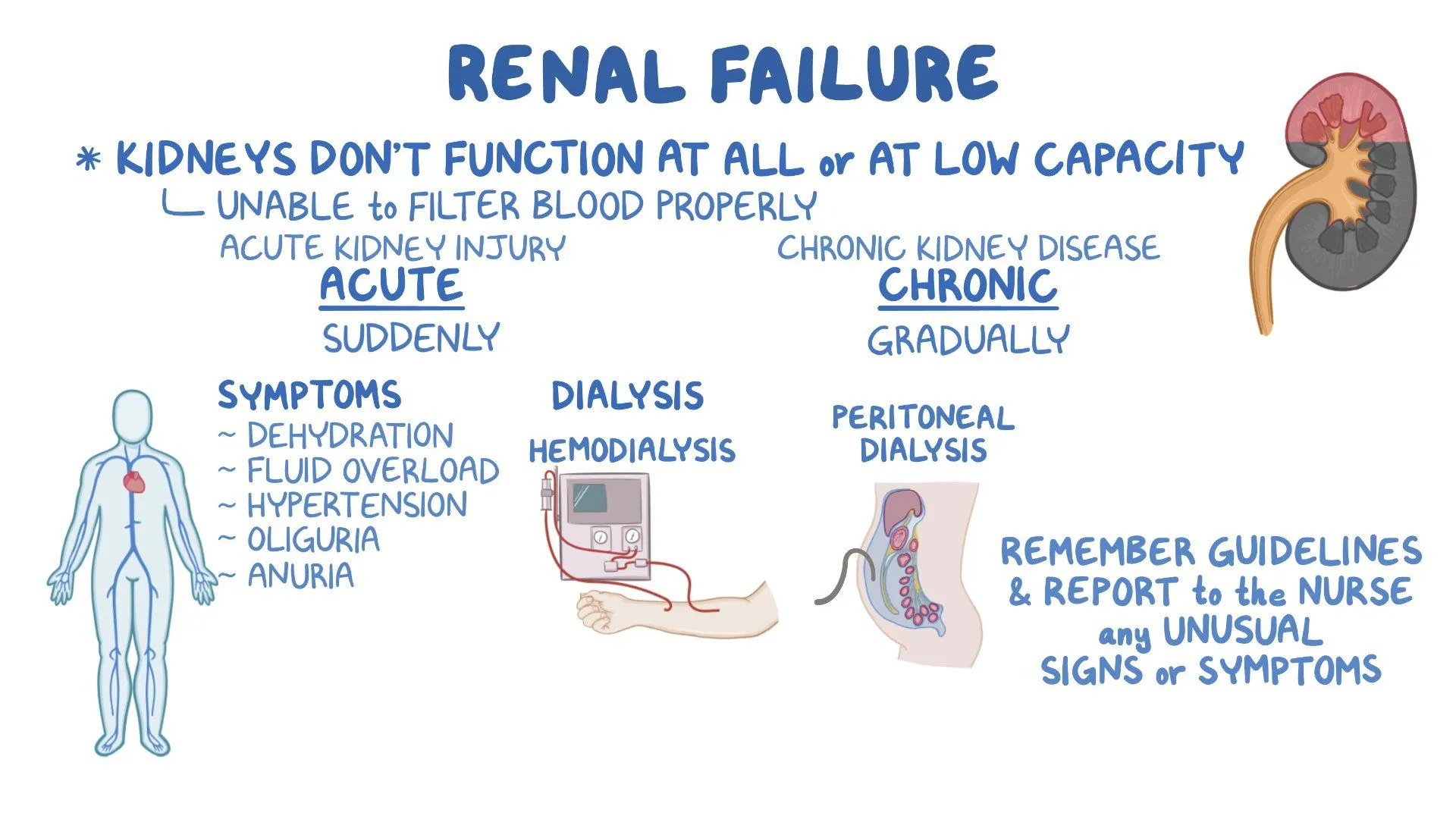 Acute Renal Failure